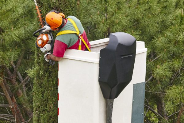 Equipped worker pruning a tree on a crane. Gardening works