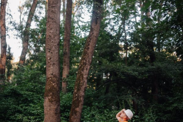 Forest engineer wearing safety helmet and vest taking notes while inspecting trees in a lush forest
