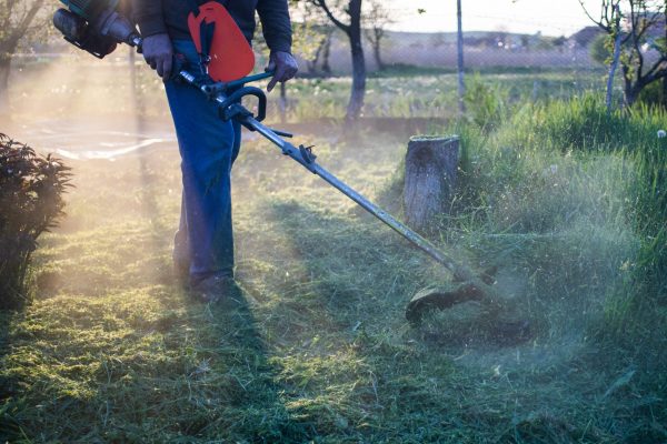 mowing a lawn with lawn mower